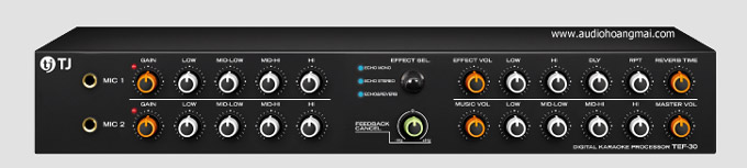 tef30_1-33.jpg (29 KB)