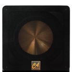 LOA SUB ĐIỆN CA SW-12 | Chính hãng | Minhtriaudiopro.com