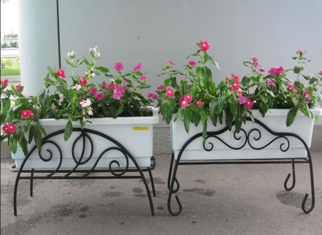 Floral art hanging shelves Khang Han welcome spring At Mui Floral art hanging shelves Khang Han welcome spring At Mui