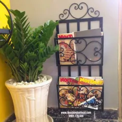 Shelves for newspaper graceful iron art