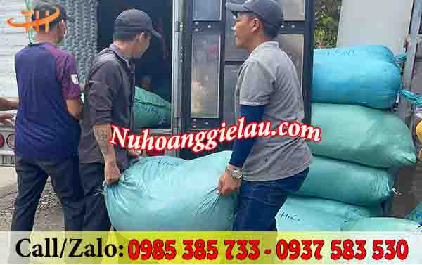 Giẻ lau máy công nghiệp nhiều lớp đi đơn lớn mỗi ngày tại Thu Hồng Giẻ lau máy công nghiệp nhiều lớp đi đơn lớn mỗi ngày tại Thu Hồng