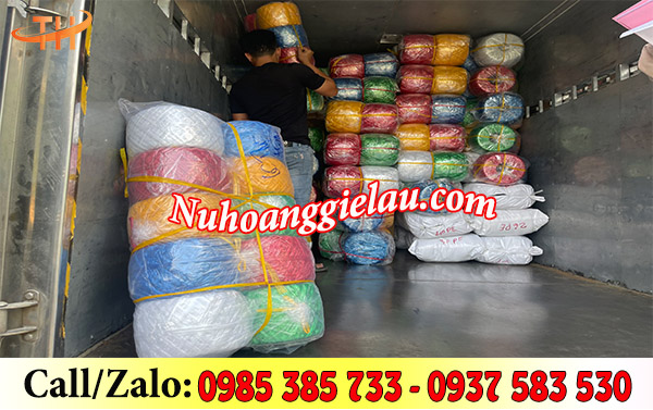 Đi đơn dây nilon nem cuộn đủ màu Đi đơn dây nilon nem cuộn đủ màu