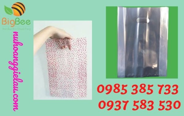 túi xoài PP chất lượng khi dùng túi xoài PP chất lượng khi dùng