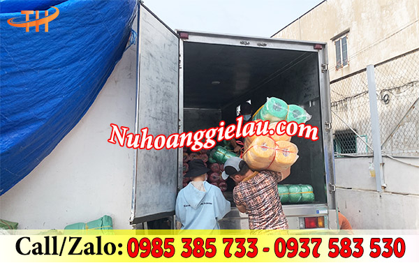 Xuất đơn dây nilon giá rẻ Xuất đơn dây nilon giá rẻ