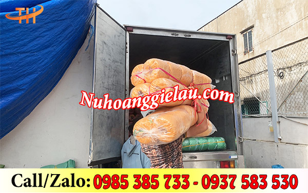 Xuất đơn dây nilon giá rẻ Xuất đơn dây nilon giá rẻ