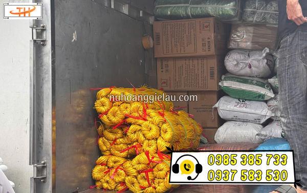 dây nilon kẽm khô TPHCM dây nilon kẽm khô TPHCM