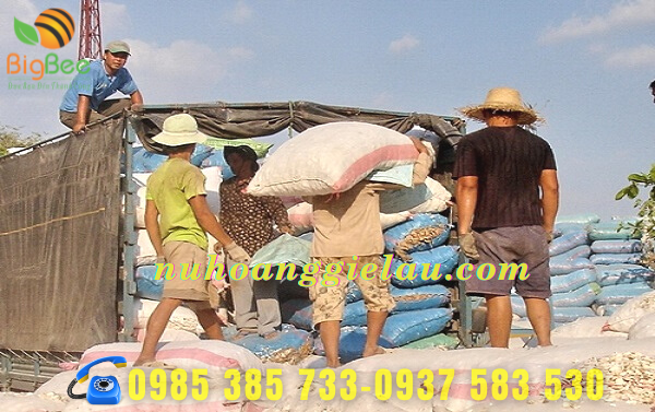 sử dụng bao tải dứa xanh tiện dụng