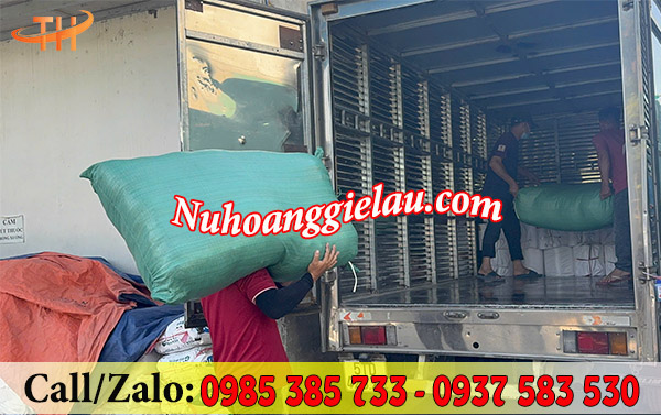 Bốc hàng lên tải Bốc hàng lên tải