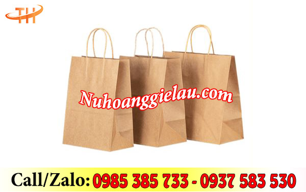 Túi giấy kraft nâu Túi giấy kraft nâu