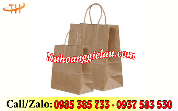 Túi giấy kraft quai xoắn Túi giấy kraft quai xoắn
