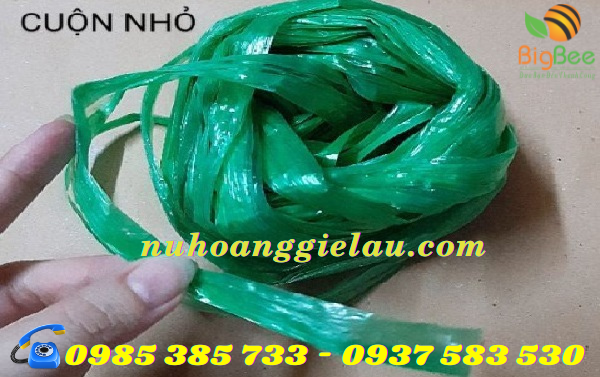 dây nilon nem sáng bóng