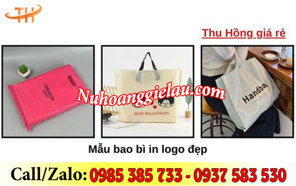 Túi hột xoài in logo thương hiệu sang trọng, hiện đại Túi hột xoài in logo thương hiệu sang trọng, hiện đại