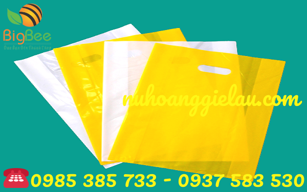 túi hột xoài đa dạng