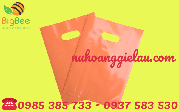 túi hột xoài chất lượng