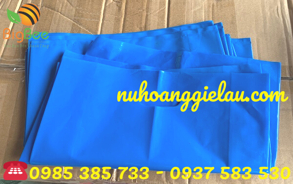 túi hột xoài tiện dụng