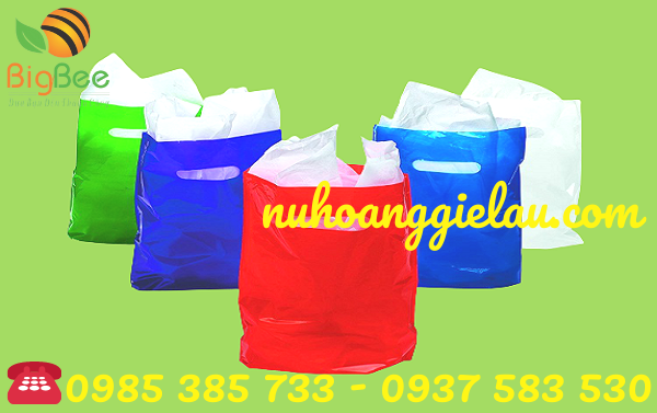 túi hột xoài nhiều màu