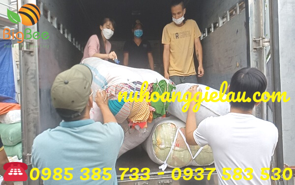 giao hàng giẻ lau