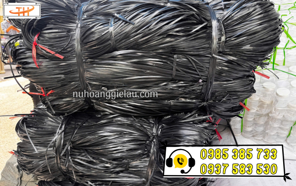 Dây nilon kẽm khô sẵn kho lớn, giao nhanh khi có đơn Dây nilon kẽm khô sẵn kho lớn, giao nhanh khi có đơn