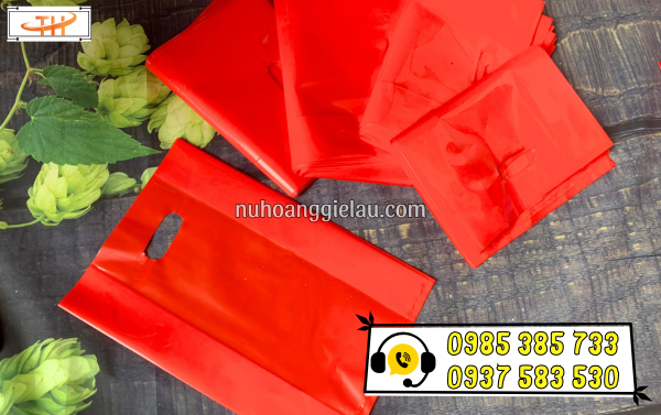 Túi hột xoài Túi hột xoài