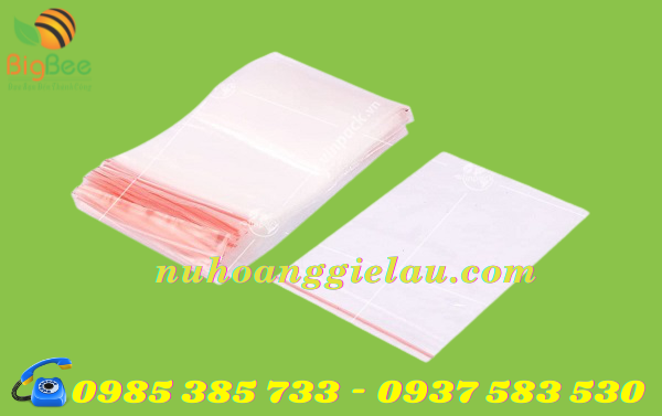 túi zipper chỉ đỏ trong suốt