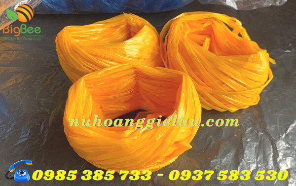 dây nilon nem Thu Hồng
