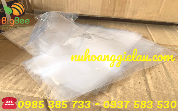 túi pe trong suốt