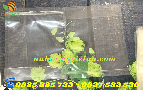 túi zipper trong suốt