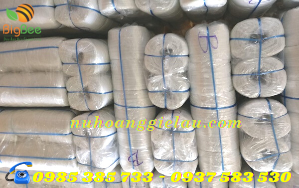 dây nilon nem thu hồng