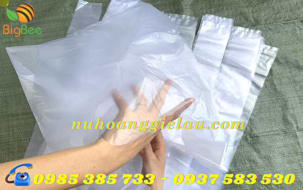 túi nilon hai quai