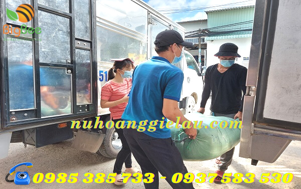 vải lau công nghiệp chất lên xe