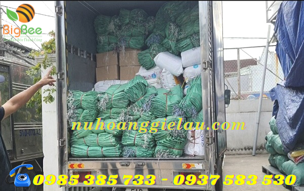 giao bao tái dứa xanh cho đại lý