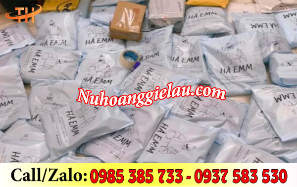 Túi đóng hàng niêm phong sử dụng tiện lợi, nhanh chóng Túi đóng hàng niêm phong sử dụng tiện lợi, nhanh chóng