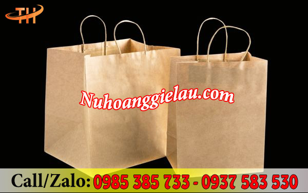 Túi giấy hai quai tiện lợi Túi giấy hai quai tiện lợi