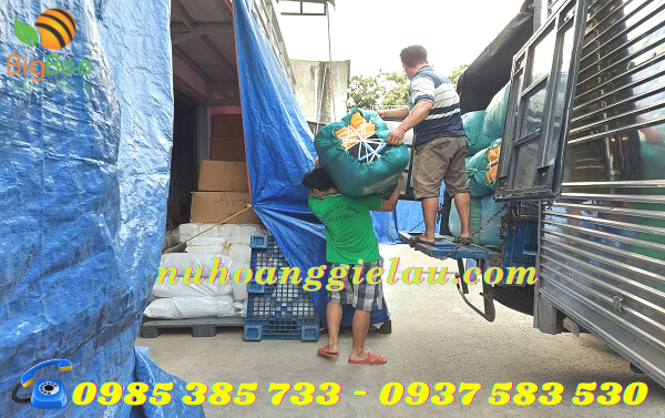 nhập kho quéo vải