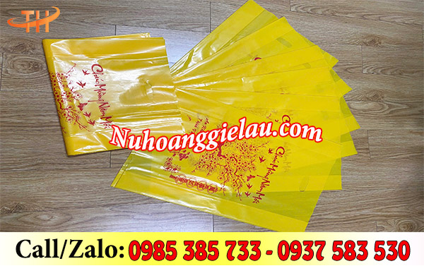 Túi hột xoài đựng quà lịch tết chất liệu PE bóng đẹp Túi hột xoài đựng quà lịch tết chất liệu PE bóng đẹp