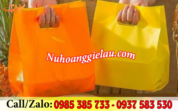 Túi hột xoài sử dụng tiện lợi, sang trọng Túi hột xoài sử dụng tiện lợi, sang trọng