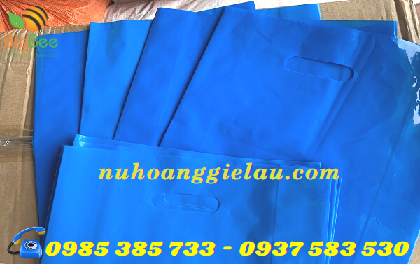 túi hột xoài pe thu hồng