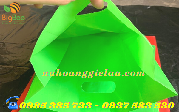 túi hột xoài sử dụng tiện lợi