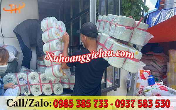 Trộm vía dây nilon ống Thu Hồng đi đều số lượng lớn mỗi ngày Trộm vía dây nilon ống Thu Hồng đi đều số lượng lớn mỗi ngày