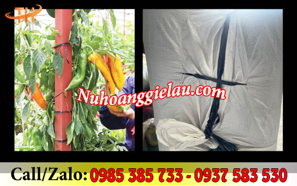 Dây bẹ đen được ứng dụng trong đời sống Dây bẹ đen được ứng dụng trong đời sống