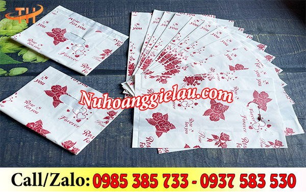 Túi hột xoài HD in Túi hột xoài HD in