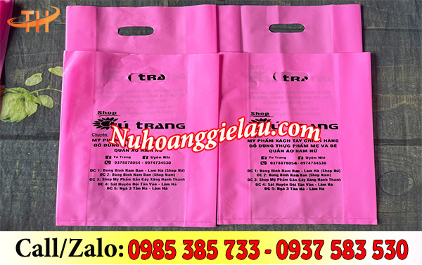 Túi hột xoài PE in Túi hột xoài PE in