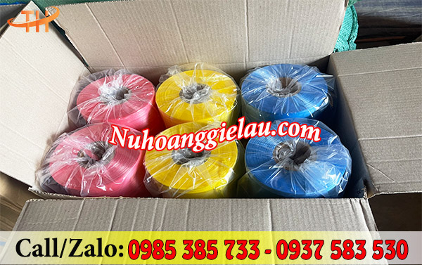 Cuộn dây nilon Đài Loan đóng thùng 12 cuộn Cuộn dây nilon Đài Loan đóng thùng 12 cuộn
