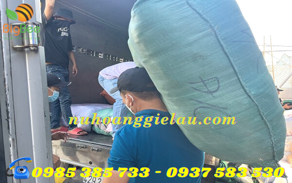 giao hàng giẻ lau