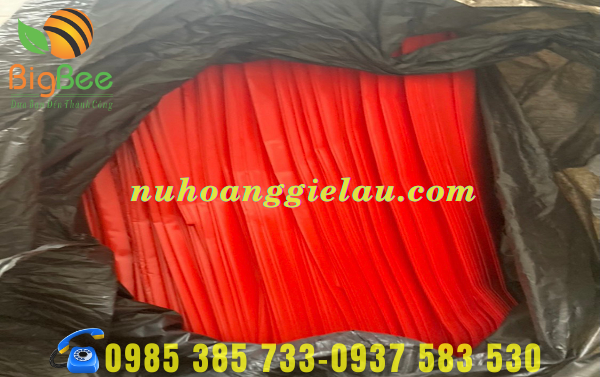 tui-nilon-hot-xoai-so-luong-lon