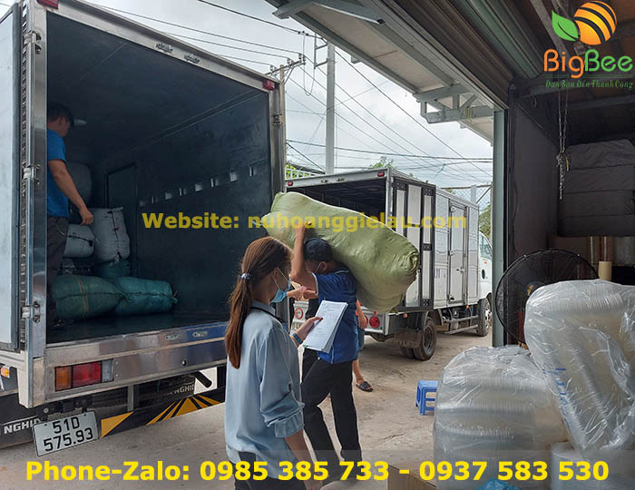 500 kg quéo vải giao quận 5
