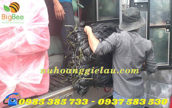 dây nilon kẽm đen