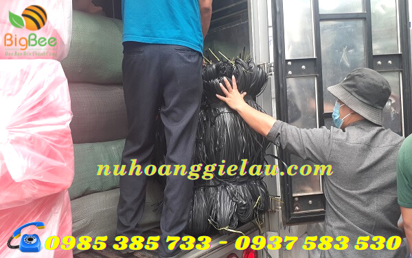 dây nilon kẽm đen cho khách Quận 3