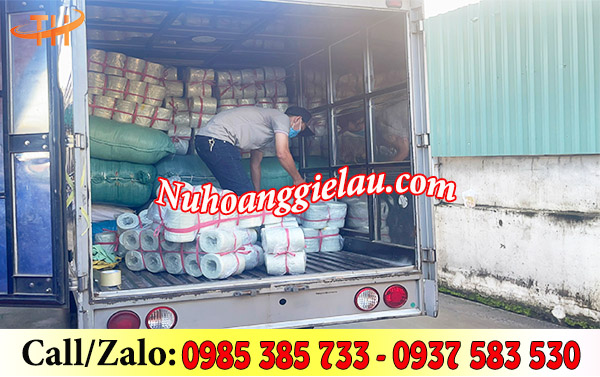 Đi đơn khủng dây nilon ống