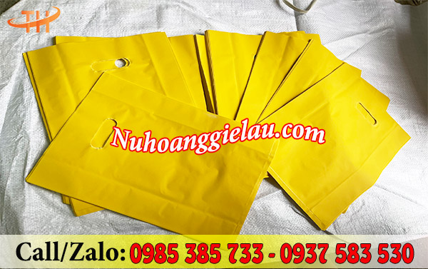 Túi hột xoài HD màu Túi hột xoài HD màu